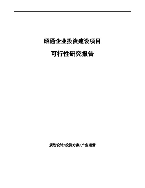 昭通投资建设项目可行性研究报告如何编写(模板)