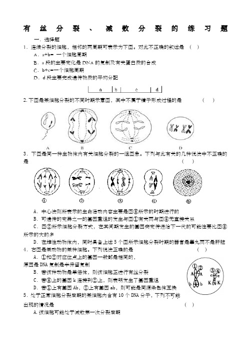 有丝分裂、减数分裂的练习题附答案)