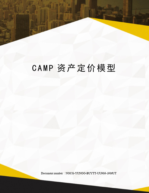 CAMP资产定价模型