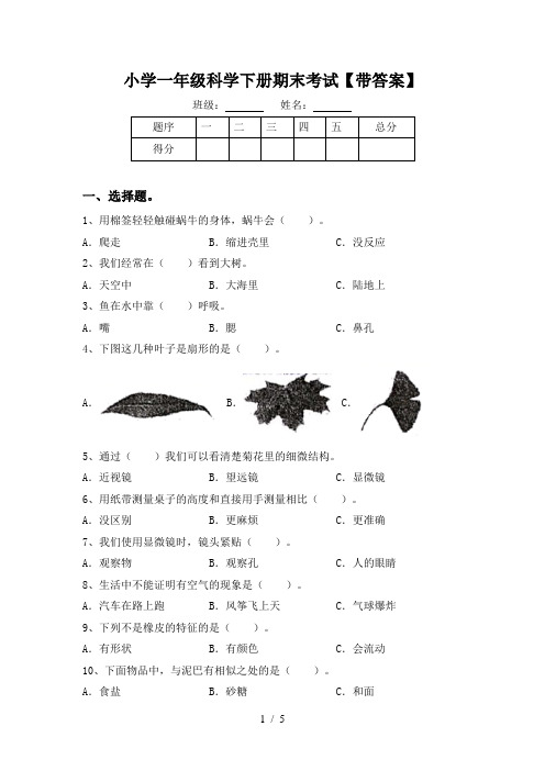 小学一年级科学下册期末考试【带答案】