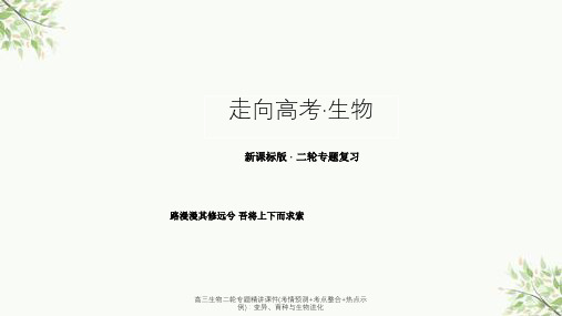 高三生物二轮专题精讲课件(考情预测+考点整合+热点示例)：变异、育种与生物进化课件