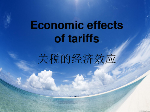 关税的经济效应Economic effects of tariffs