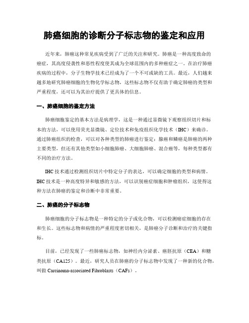 肺癌细胞的诊断分子标志物的鉴定和应用