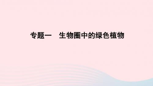 山东省潍坊市2019年中考生物专题复习一生物圈中的绿色植物课件济南版