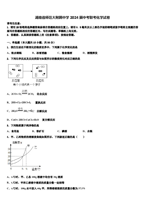 湖南省师范大附属中学2024届中考联考化学试卷含解析