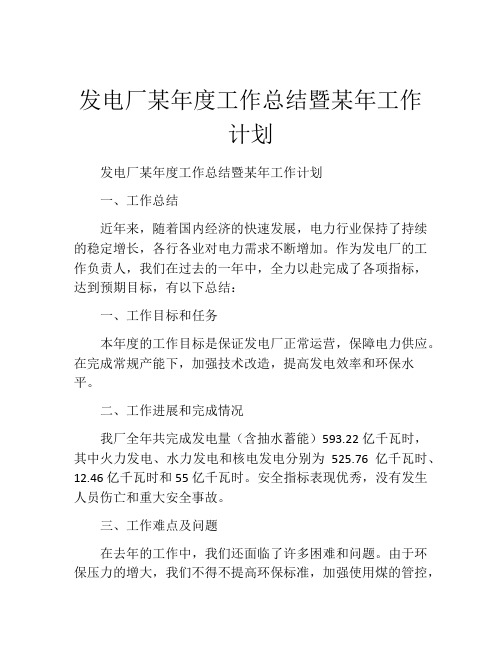 发电厂某年度工作总结暨某年工作计划