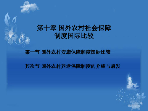 10-国外农村社会保障制度国际比较解析