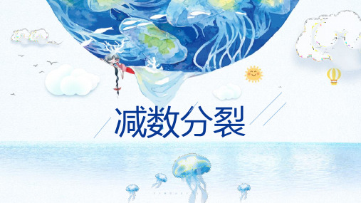 2.1 减数分裂 课件(51张ppt)【新教材】高一生物人教版(2019)必修二.ppt