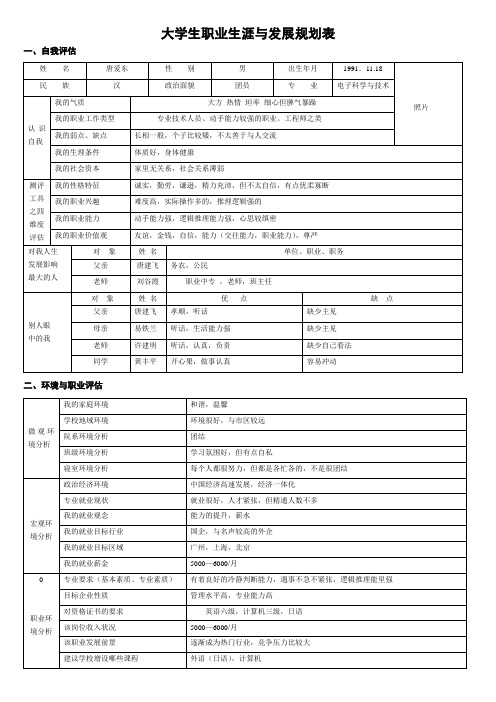 大学生职业生涯与发展规划表