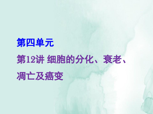 高三生物一轮复习精品课件1:第12讲 细胞的分化、衰老、凋亡及癌变