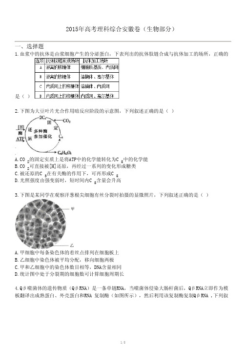 2015年高考理科综合安徽卷(生物部分)