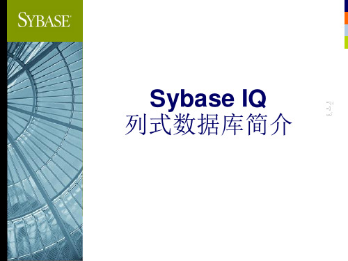 Sybase IQ列式数据库简介