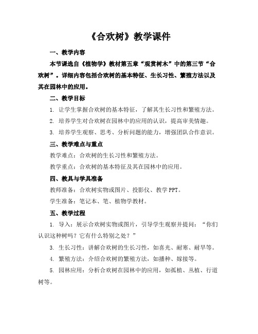 《合欢树》教学课件