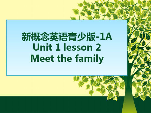 Unit1Meetthefamily(课件)-新概念英语青少版1A