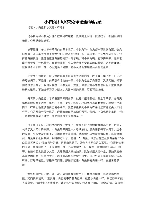 小白兔和小灰兔采蘑菇读后感