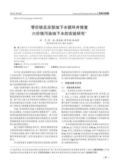 零价铁反应型地下水循环井修复六价铬污染地下水的实验研究＊