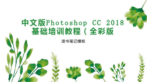 中文版Photoshop CC 2018基础培训教程(全彩版