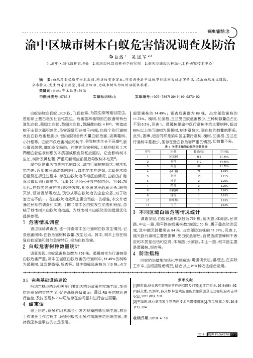 渝中区城市树木白蚁危害情况调查及防治