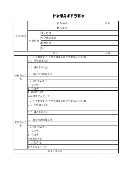 社会服务项目预算表