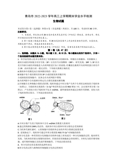 2023届山东省青岛市高三上学期期末学业水平检测生物学试题