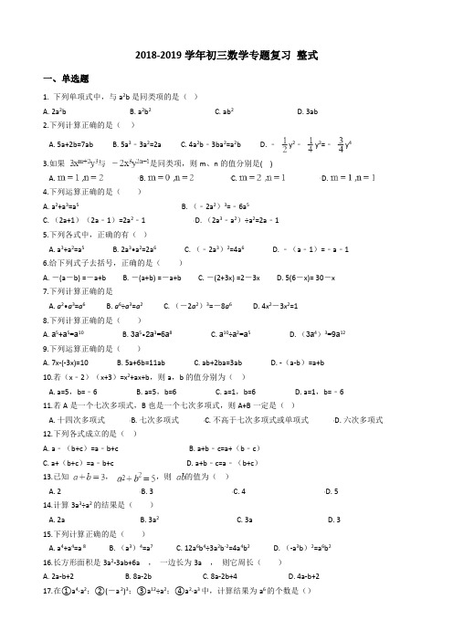 2019年中考数学《整式》专题复习试卷(含答案)