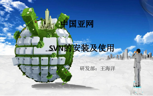 SVN服务器和客户端的安装visualSVN与Tortoise