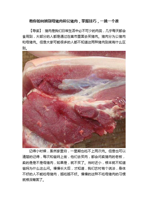 教你如何辨别母猪肉和公猪肉，掌握技巧，一挑一个准