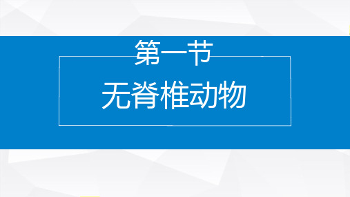 2.4.1 无脊椎动物(课件)-七年级生物上学期课件(2024苏教版)