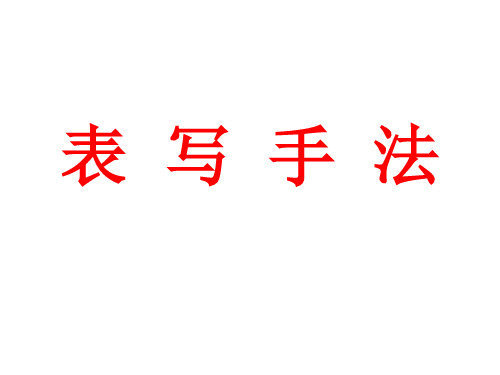 中考文学类作品阅读专题复习之表现手法的使用及作用