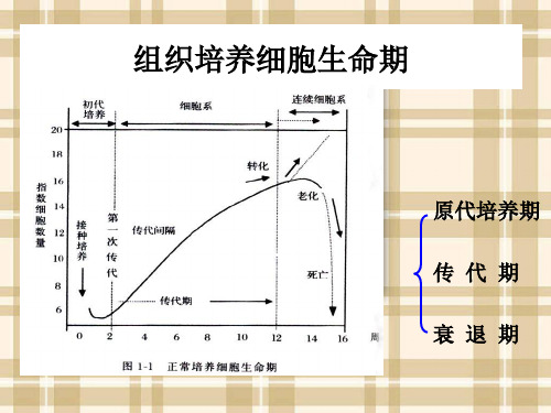 细胞培养技术_第二讲