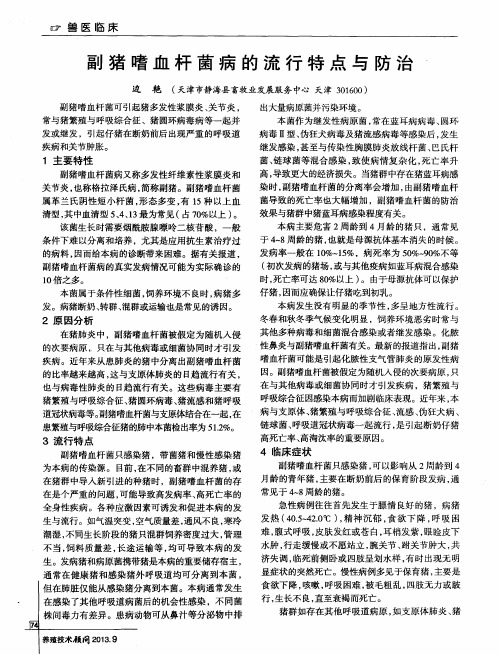 副猪嗜血杆菌病的流行特点与防治