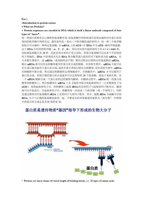 蛋白质科学进展与展望-PPT资料