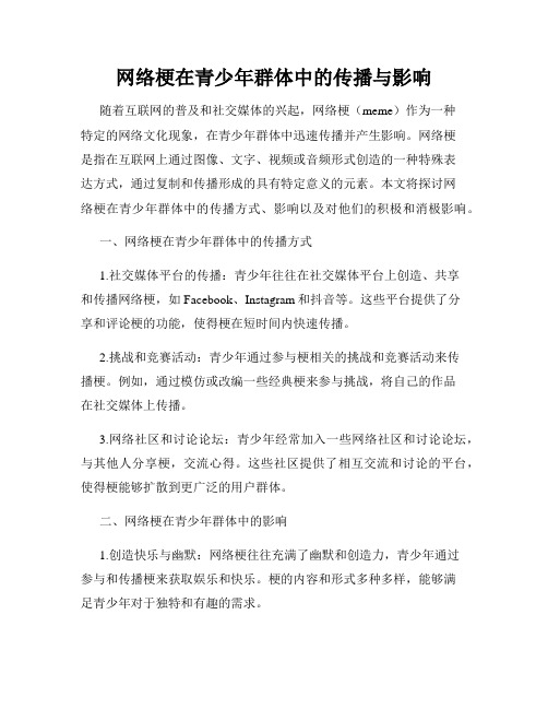 网络梗在青少年群体中的传播与影响