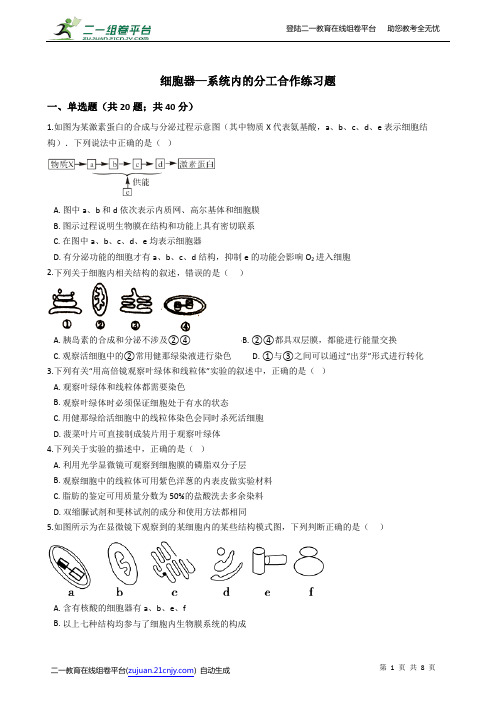 细胞器──系统内的分工合作练习题