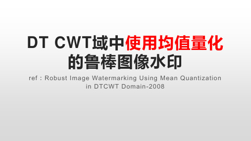 DT CWT域中使用均值量化的鲁棒图像水印