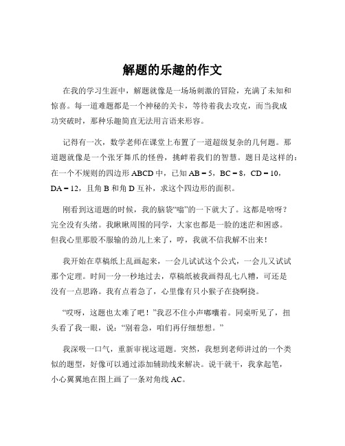 解题的乐趣的作文