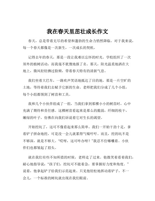 我在春天里茁壮成长作文