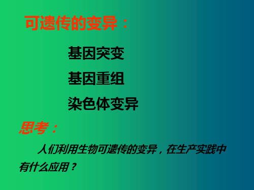 人教版高中生物必修二第六章第一节 杂交育种与诱变育种一轮复习课件(共30张PPT)