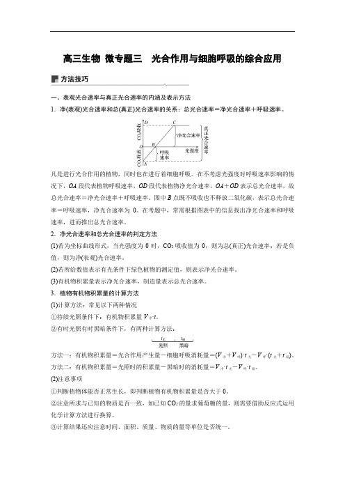 高三生物 微专题三 光合作用与细胞呼吸的综合应用