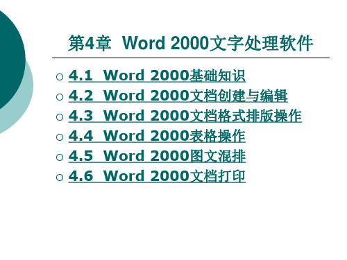 Word 2000文字处理软件