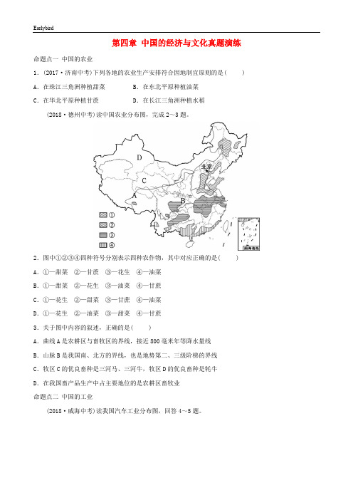 中考地理总复习八上第四章中国的经济与文化真题演练