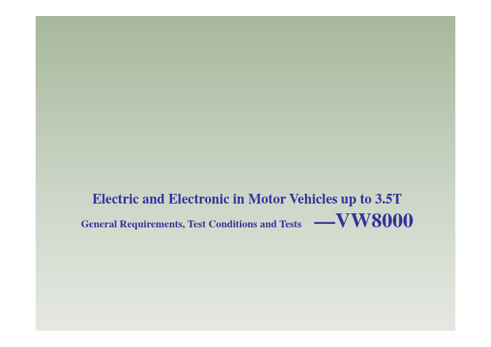 (参考资料)VW 80000 汽车电子电器