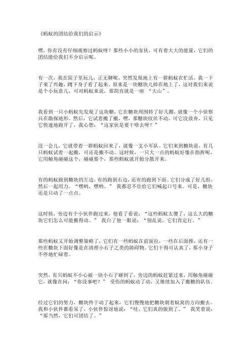 蚂蚁的团结给我们的启示作文