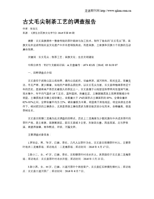 古丈毛尖制茶工艺的调查报告