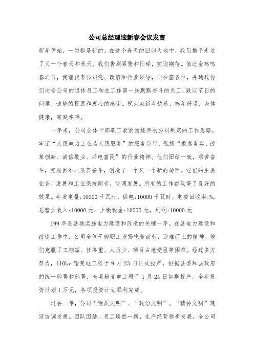 公司总经理迎新春会议发言.doc