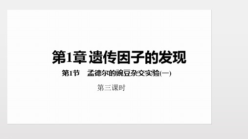 人教版新教材《孟德尔的豌豆杂交实验(一)》精品课件2