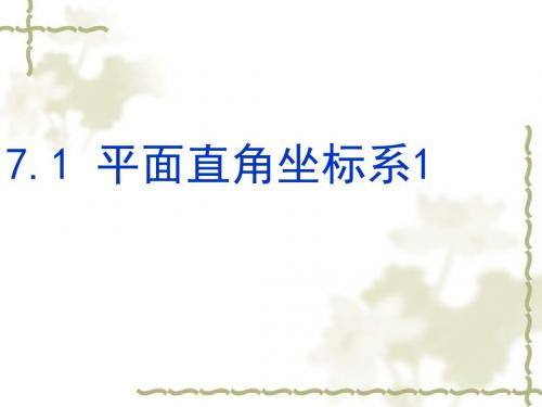 平面直角坐标系(1)