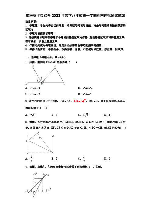 重庆梁平县联考2023年数学八年级第一学期期末达标测试试题【含解析】