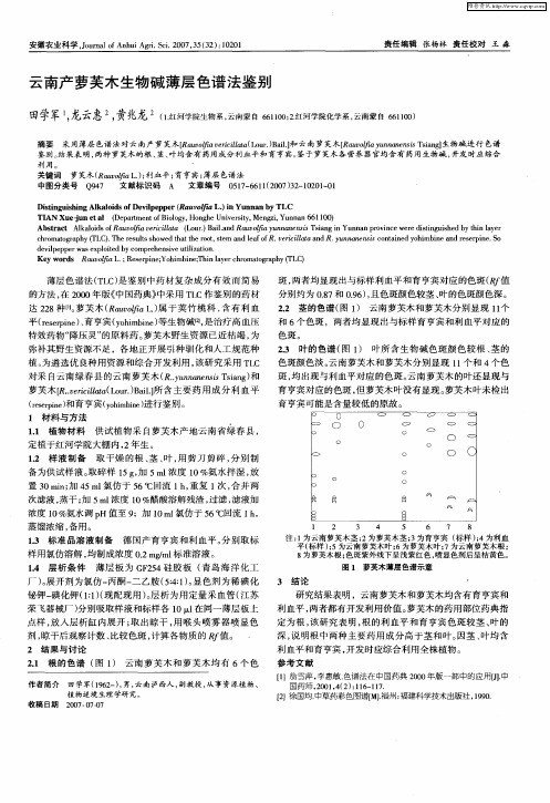 云南产萝芙木生物碱薄层色谱法鉴别