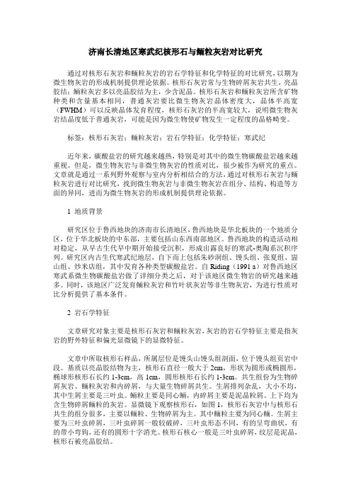 济南长清地区寒武纪核形石与鲕粒灰岩对比研究